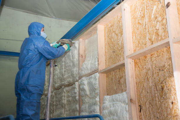 Best Insulation for New Construction  in Westport, NC